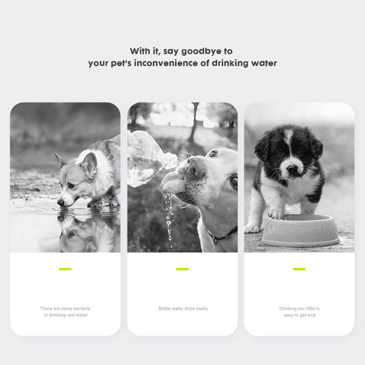 Bebedero Portátil para Perros - Comedero de Agua Plegable para Mascotas - Image 18