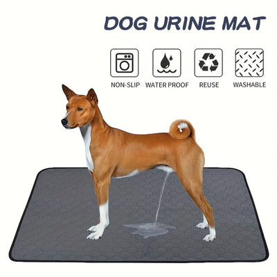 Pañales Lavables para Perros - Almohadillas Reutilizables Impermeables - Image 13