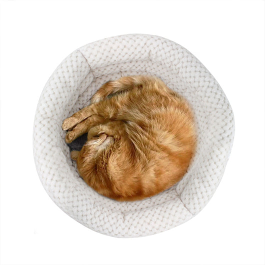 Cama Redonda Semiabierta de Terciopelo para Mascotas - Descanso Profundo - Image 9