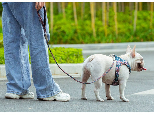 Cuerda de Paseo Floral para Perros con Asas de Mano - Image 2