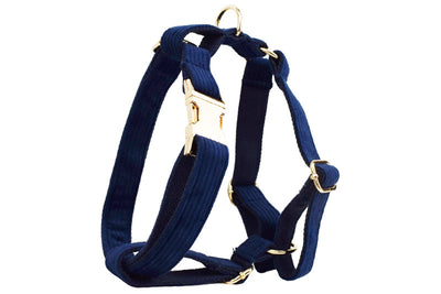 Collar y Correa para Perro en Pana Azul Marino - Cuerda de Sujeción para Exterior - Image 13
