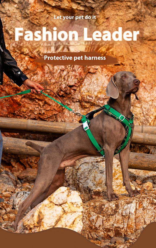 Arnés de Pecho para Perros con Correa de Fácil Colocación - Image 7