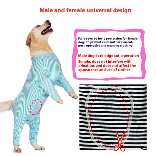 Ropa Ligera para Perros Golden Retriever y Labrador - Image 8