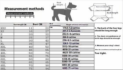 Ropa de Primavera y Verano para Perros - Image 7