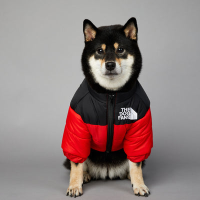 Abrigo Impermeable y Cortavientos para Perros - Ropa de Invierno Acolchada - Image 5