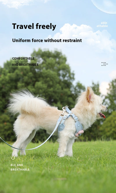 Arnés de Pecho para Perro con Correa de Cuerda - Sistema de Sujeción Corporal - Image 16