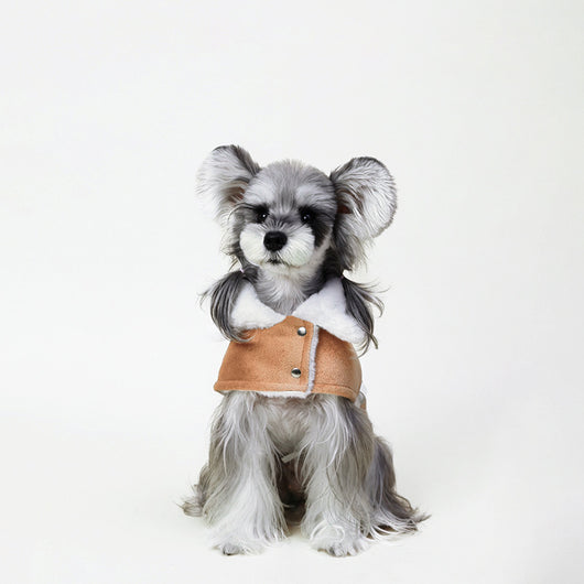 Abrigo Cálido de Lujo para Perros Pequeños - Estilo Británico Premium - Image 3