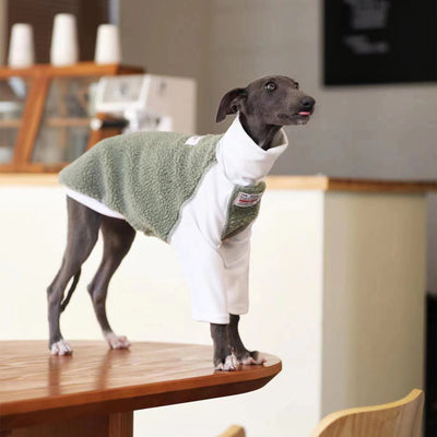Ropa para Perros Pequeños y Medianos Whybit - Accesorios para Galgos - Image 5
