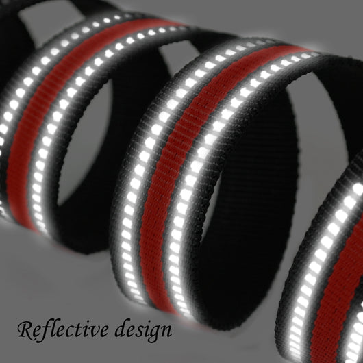 Collar Reflectante Personalizado para Perro con Nombre Grabado - Image 11