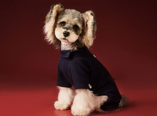 Ropa Térmica para Perros - Abrigo Waffle Otoño e Invierno - Image 21