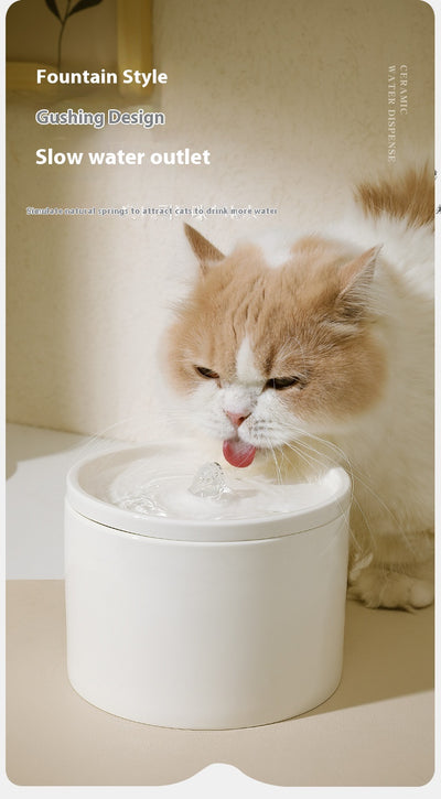 Fuente Automática para Gatos con Filtro Cerámico y Circulación Silenciosa - Image 15