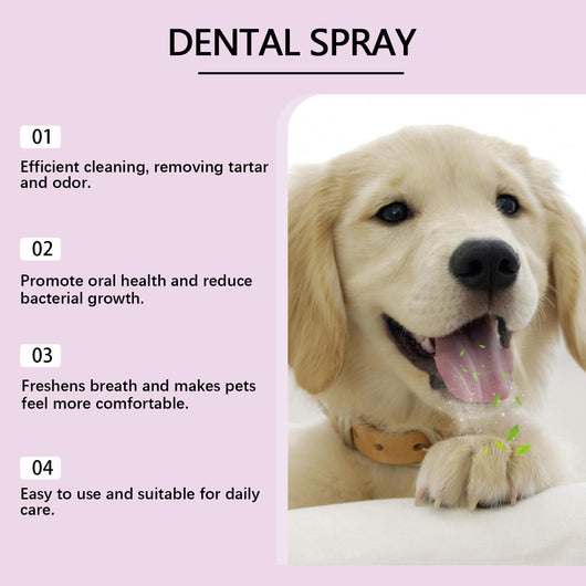Spray Limpiador de Dientes para Mascotas - Image 15