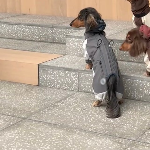 Abrigo Impermeable para Perros Salchicha - Chaqueta de Invierno y Otoño - Image 4