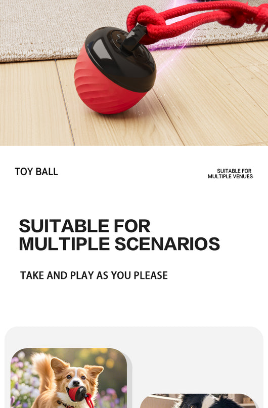Red and black smart interactive pet toy ball with a textured swirl pattern and an attached red rope. - Image 25