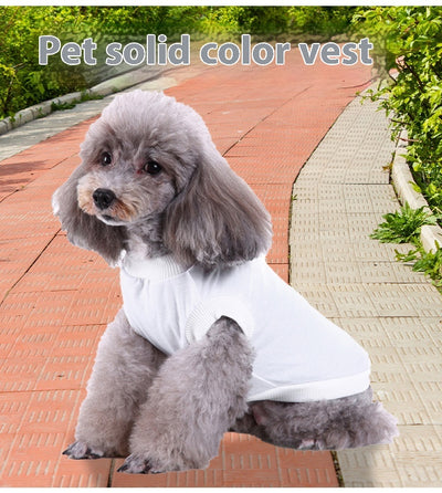 Sudadera Ligera con Capucha para Perros Pequeños - Primavera Verano - Image 18