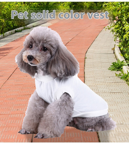 Sudadera Ligera con Capucha para Perros Pequeños - Primavera Verano - Image 18