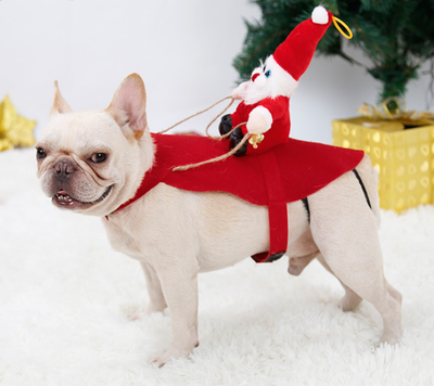 Disfraz Navideño para Perros - Papá Noel en Trineo - Image 9