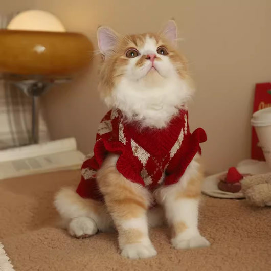 Ropa para Gatos Abrigada - Diseño Adorable para Otoño e Invierno - Image 6