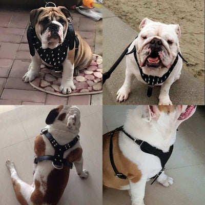 Arnés de Pecho para Perros Grandes Estilo Punk con Remaches - Resistente y Seguro - Image 13