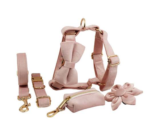 Collar de Terciopelo para Perros - Diseño Elegante y Cómodo - Image 7
