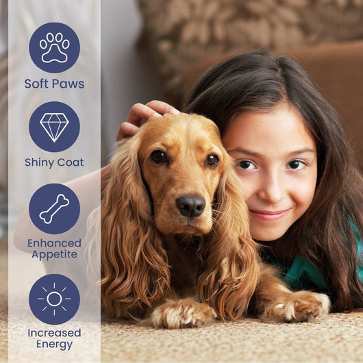 Aceite Premium de Salmón para Perros - Image 3