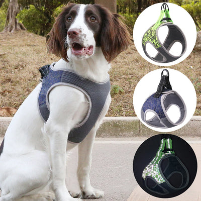 Chaleco arnés para perro - Image 7