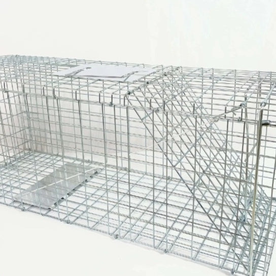 Jaula Trampa Automática Plegable para Gatos - Galvanizada y Segura