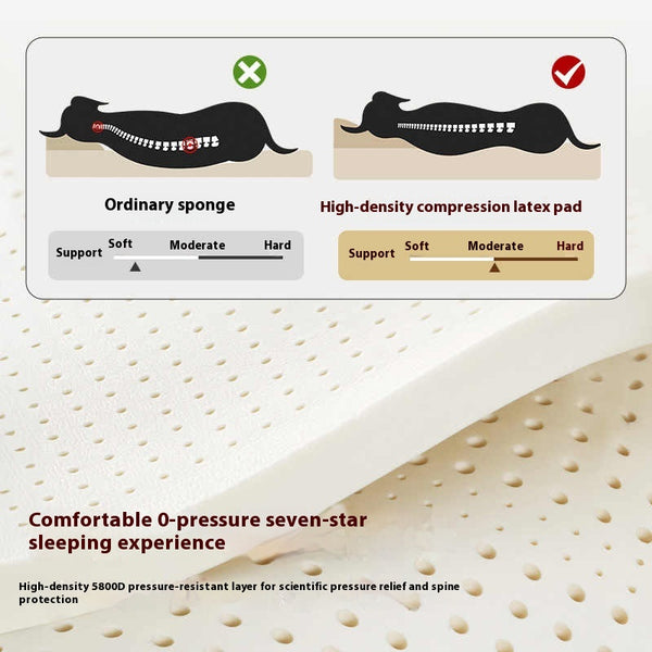 Casa Perro Universal Resistente Todo Clima - Impermeable y Duradera