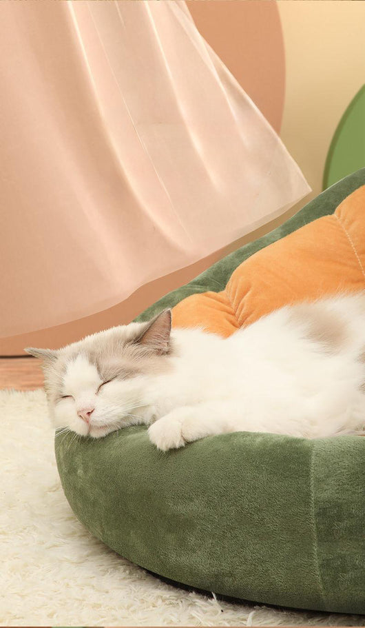 Cama Cálida y Acogedora para Gatos y Perros Pequeños - Nido de Algodón Suave - Image 14