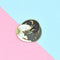 Distintivo de Tres Gatitos Adorables Acurrucados