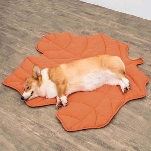 Colchoneta Climática Universal para Mascotas - Image 19