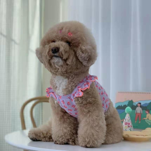 Falda Protectora para Perros Pequeños, Medianos y Grandes - Image 25