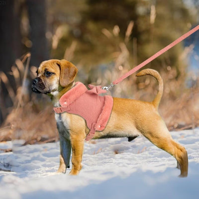 Arnés Cálido para Perro Pequeño con Correa y Moño - Acolchado Suave con Cuello de Pelaje Removible - Image 4
