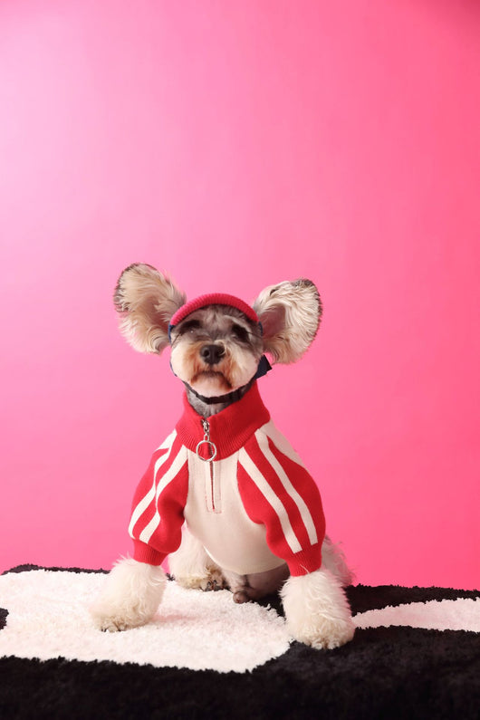 Suéter Deportivo para Perros - Cardigan Cómodo para Mascotas - Image 10