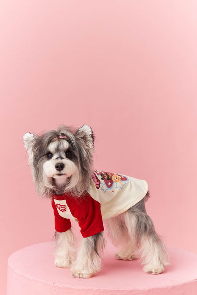 Ropa de Verano para Perros con Contraste de Colores - Image 21