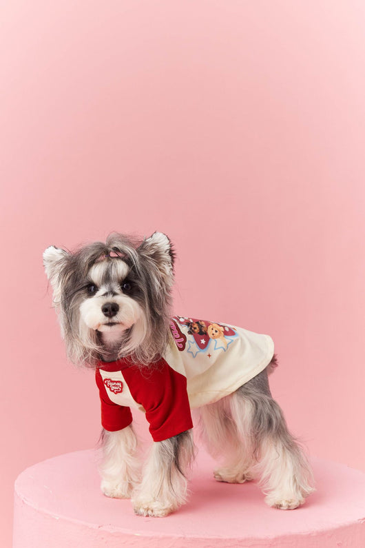 Ropa de Verano para Perros con Contraste de Colores - Image 21