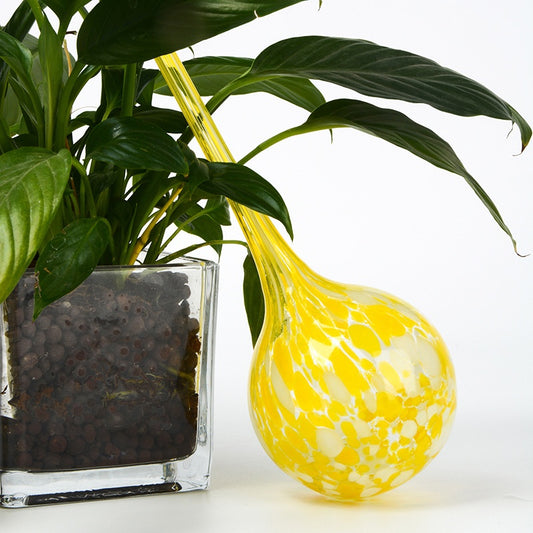 Regadera Automática de Esfera de Cristal para Plantas