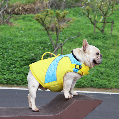 Chaleco Salvavidas para Perros con Contraste de Colores Brillantes - Image 5