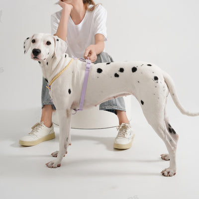 Arnés de Tracción para Perros - Chaleco de Pecho y Espalda - Image 12
