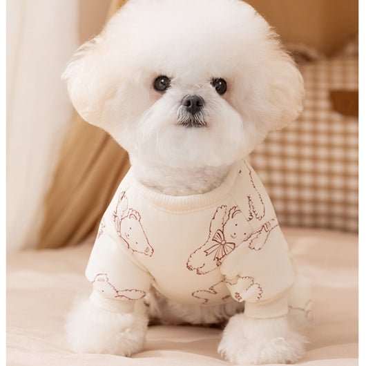 Abrigo de Algodón para Perros - Diseño Osito Impreso para Otoño e Invierno - Image 25