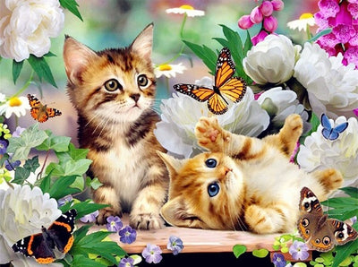 Pintura de Diamantes Gato - Bordado de Cristales Brillantes - Image 3