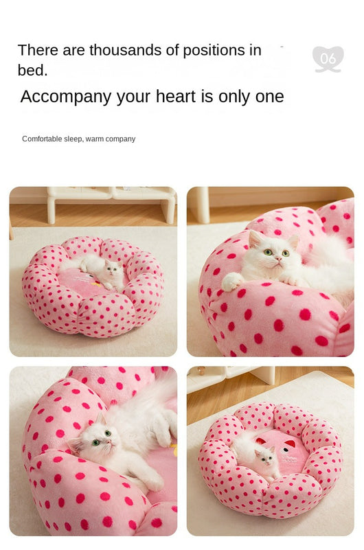Cama Cojín Princess para Gatos - Refugio Confortable Todo Clima - Image 9