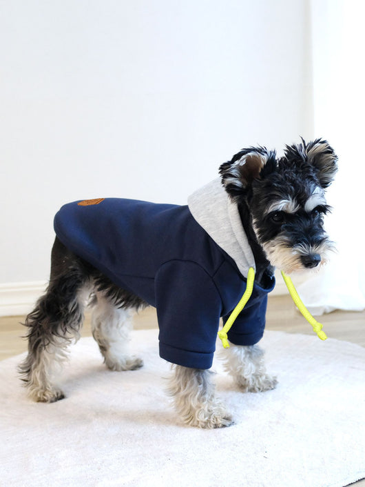 Sudadera con Capucha para Mascotas - Diseño Bicolor Moderno - Image 13