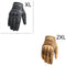 Conjunto D