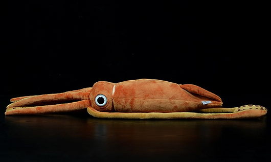 Peluche Realista de Sepia - Juguete Educativo de Animales Marinos - Image 13