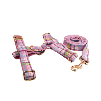 Collar y Correa de Tracción para Perros Qicaigei - Image 19