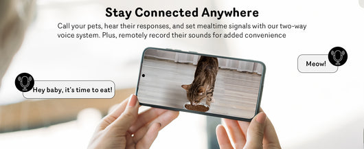 Comedero Automático para Gatos con Cámara 1080P, Visión Nocturna y WiFi 5G - Image 16