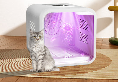 Secadora de Aire para Gatos con Caja de Contención - Image 4