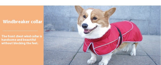 Abrigo Térmico Protector para Perros - Image 13