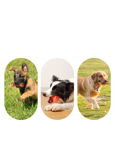 Hueso Dental Resistente para Perros con Aroma a Carne - Image 13